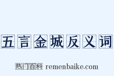 五言金城反义词是什么意思的图片